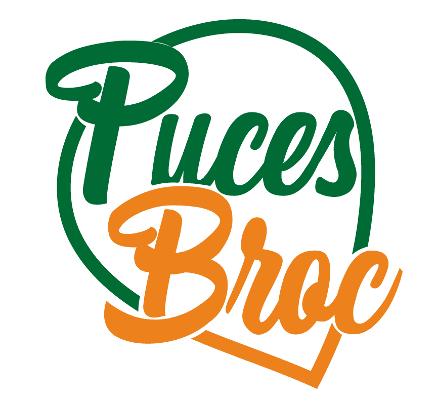 Puces Broc